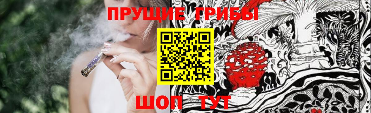 Псилоцибиновые грибы GOLDEN TEACHER  Вход с VPN  Баксан 