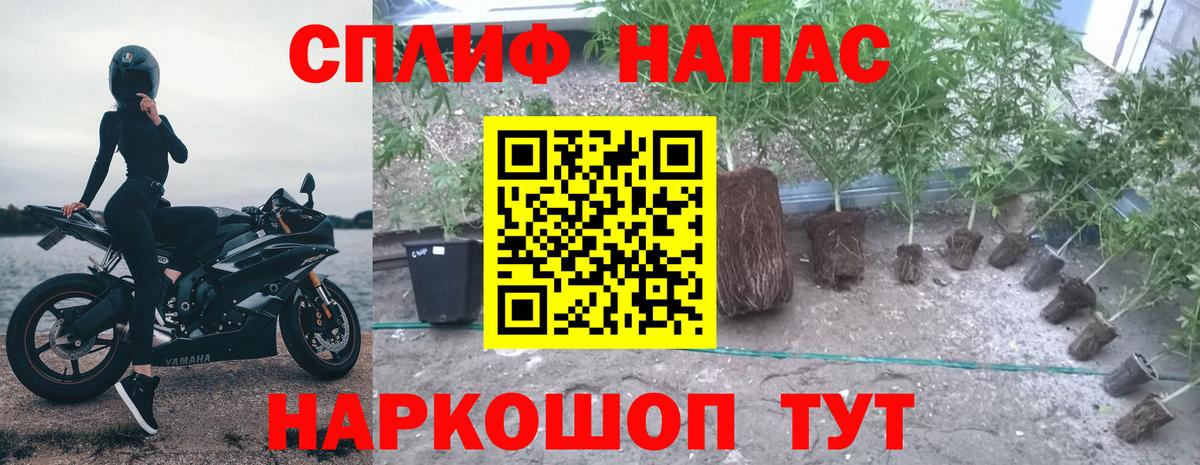 Баксан  Конопля тримм  Конопля THC 21%  Шишки марихуана White Widow  Вход с VPN 